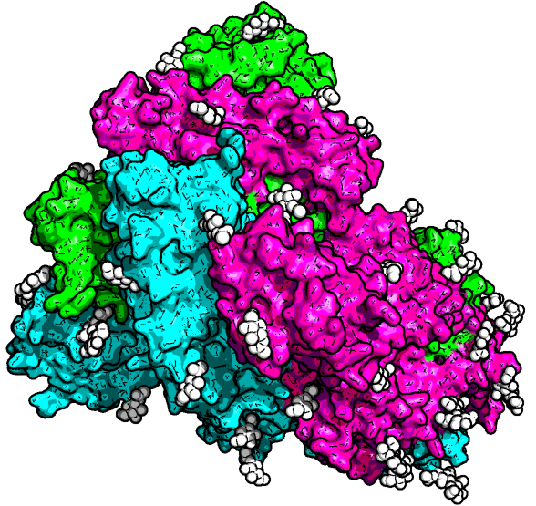 spike-protein-image